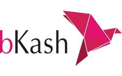 Bkash Logo