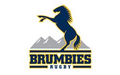 Brumbies Logo