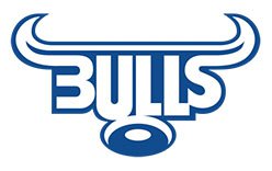 Bulls Logo