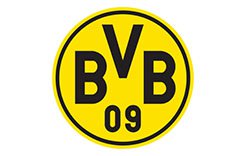 BVB Logo