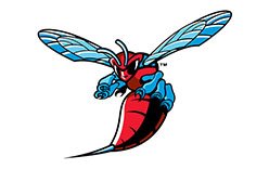 Delaware State Hornets Logo