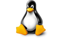 Linux Logo