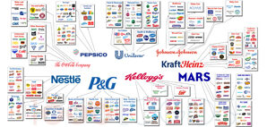 Major International Corporations and Logos of Their Subsidiary Brands