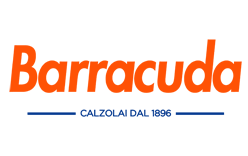 Barracuda Logo