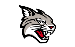 Davidson Wildcats Logo