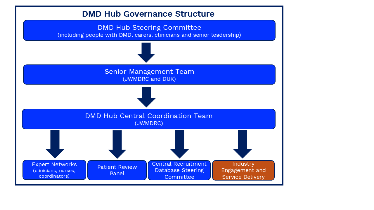 DMD Hub Governance Structure