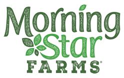 MorningStar Logo