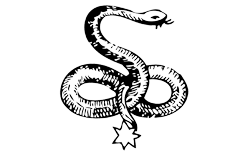 The Snake Meaning